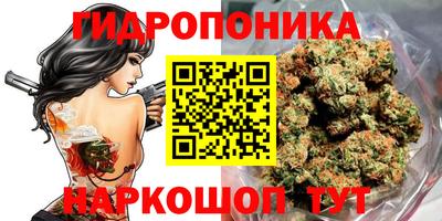 марихуана Новозыбков
