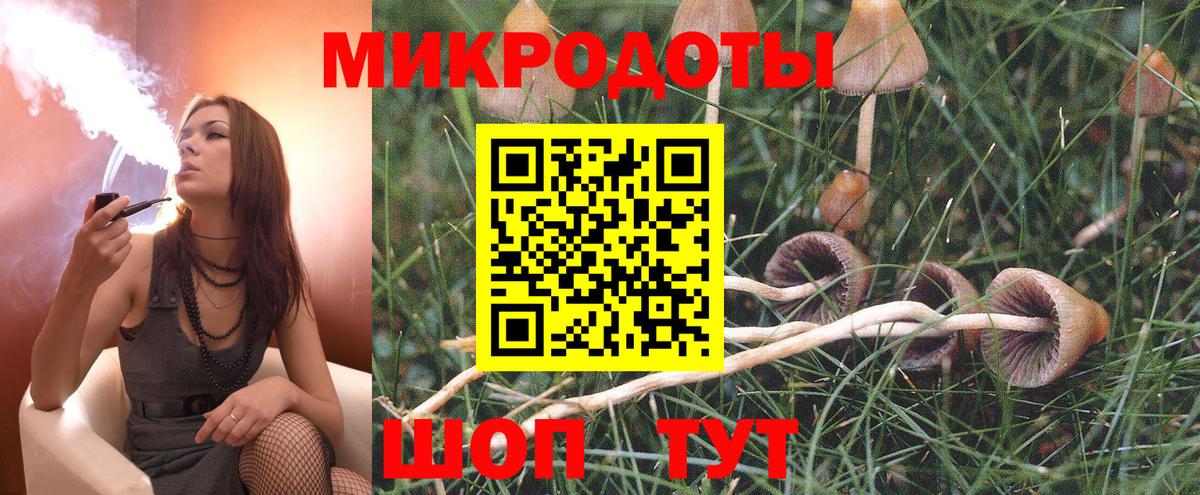 Саров  Псилоцибиновые грибы ЛСД  Псилоцибиновые грибы Psilocybe  где можно купить наркотик  Вход с VPN 